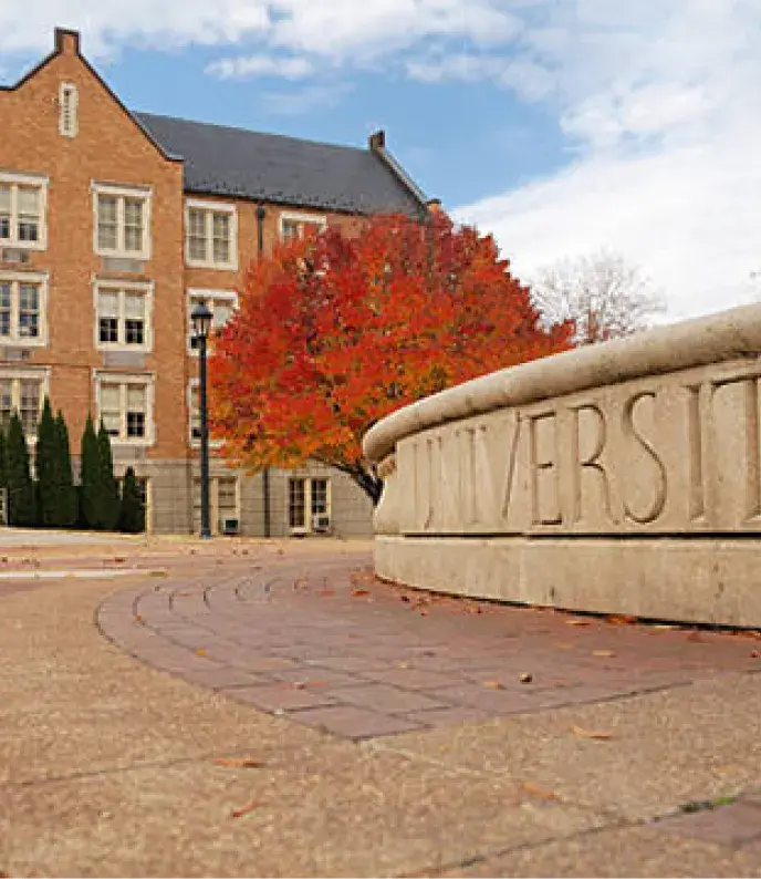 University Outside View in Autumn