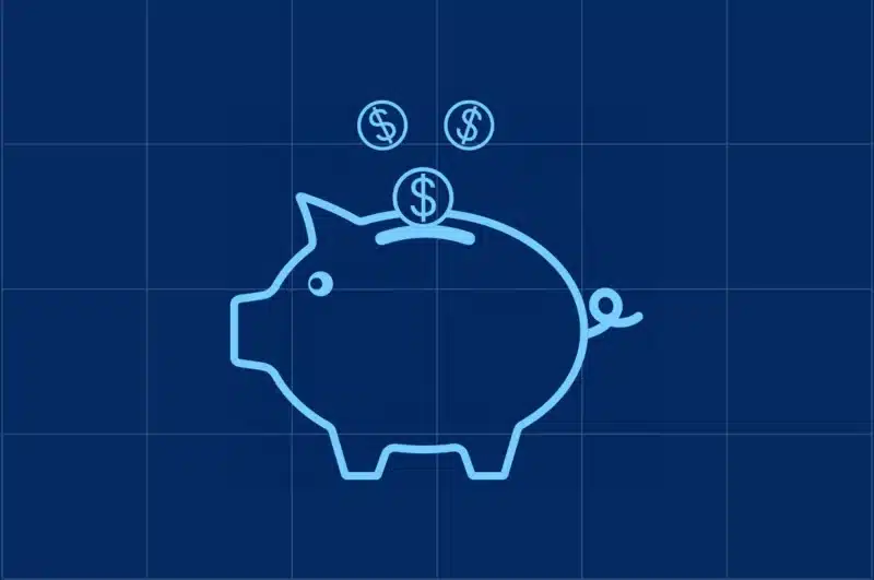 Financial Literacy icon of piggy bank