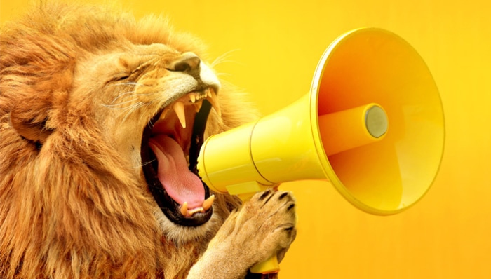 Lion Roaring into a loudspeaker